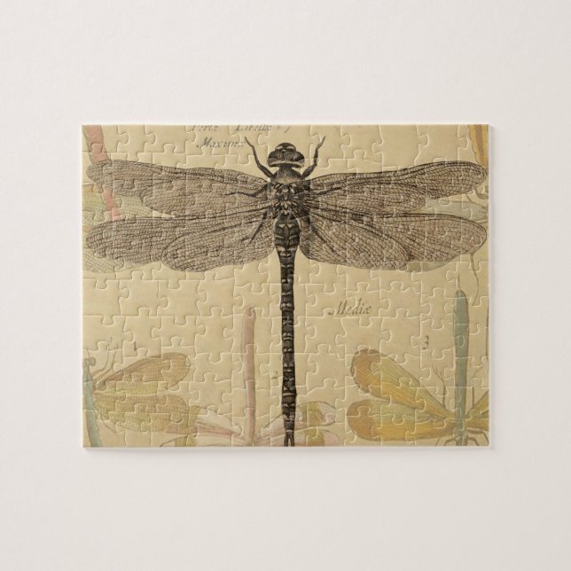 Puzzle Dragonfly Vintage Antique Classic Nature (Horizontal)