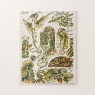 Puzzle Dragons, illustration Art nouveau par Anton Seder 