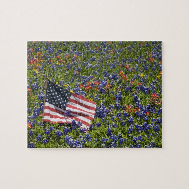 Puzzle Drapeau américain dans un champ de bleuets, 2 (Horizontal)