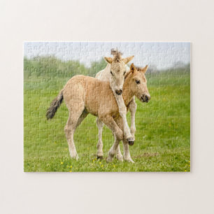 Puzzle Drôle Chevaux Konik Sauvages Foals Jouant Ensemble