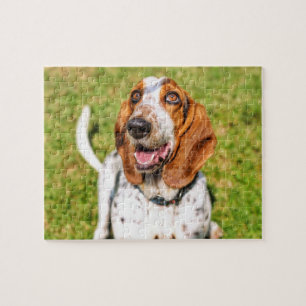 Puzzle Drôle chien Basset Hound