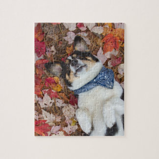 Puzzle Drôle, mignon, regard de corgi