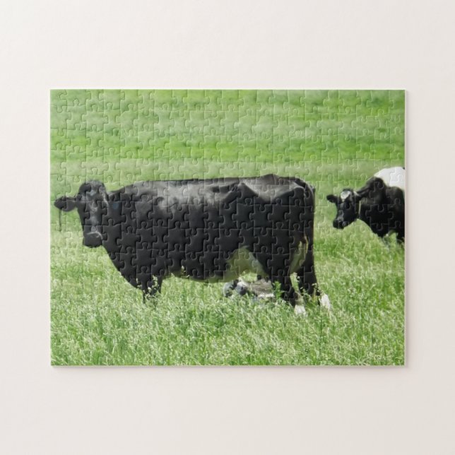 Puzzle Drôle Photobombing Black Cow (Horizontal)