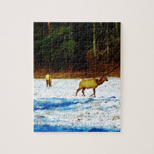 PUZZLE DSC00131.JPG (Vertical)