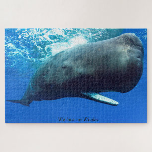 Puzzle du Cachalot