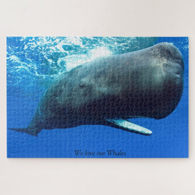 Puzzle du Cachalot (Horizontal)