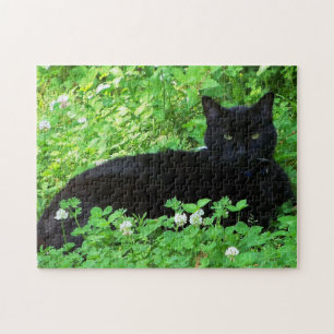 Puzzle du chat Bombay allongé dans du trèfle vert