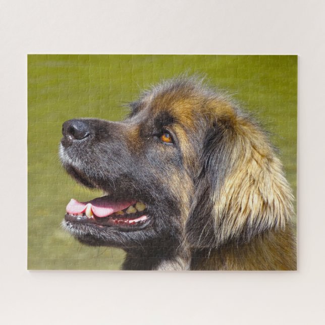 Puzzle du chien de race Leonberg. (Horizontal)