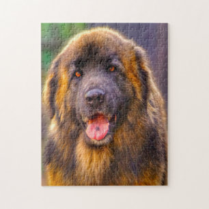 Puzzle du chien de race Leonberg.