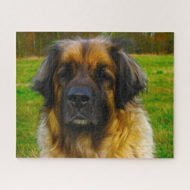 Puzzle du chien de race Leonberg. (Horizontal)