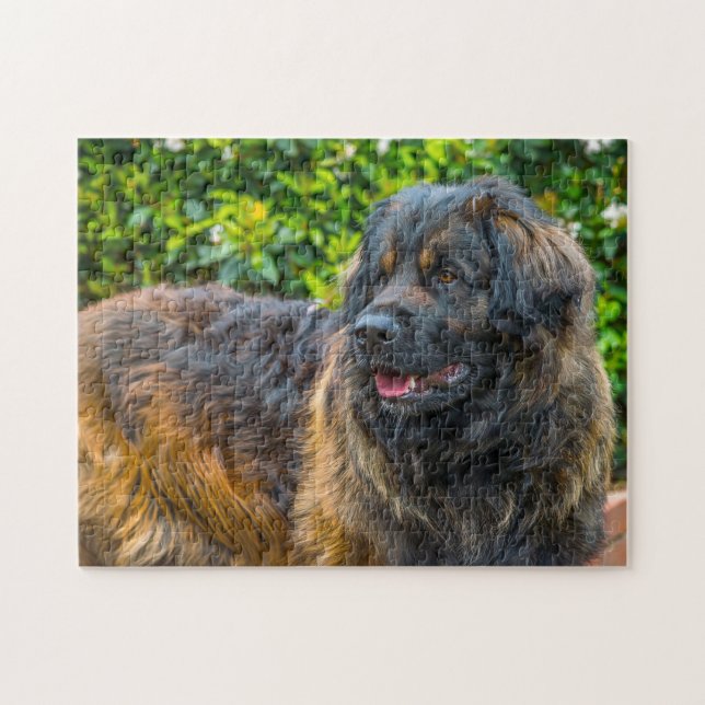 Puzzle du chien de race Leonberger. (Horizontal)