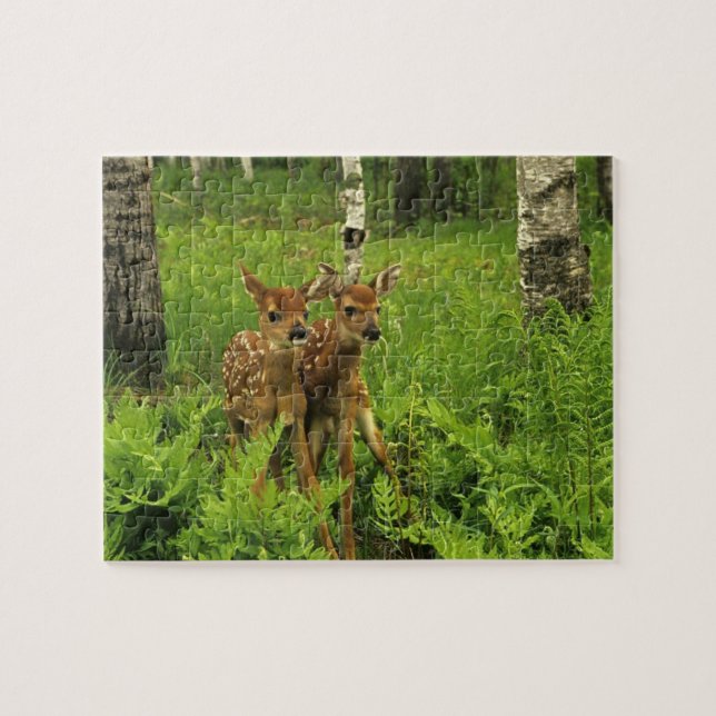 Puzzle du Faon (Horizontal)