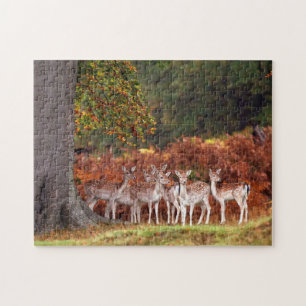 Puzzle du jeu du cerf