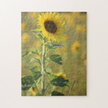 Puzzle du Jour des tournesols