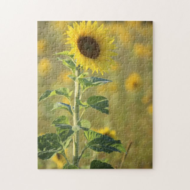 Puzzle du Jour des tournesols (Vertical)