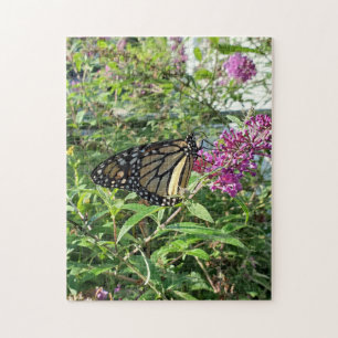 puzzle du papillon monarque