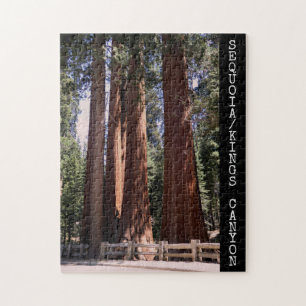 Puzzle du parc national du canyon de Sequoia/Kings