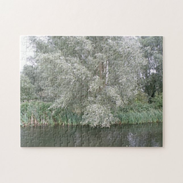 Puzzle du paysage de l'arbre blanc et de la rivièr (Horizontal)