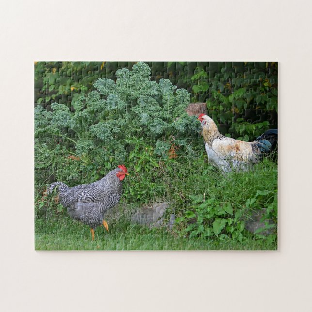 Puzzle du poulet à la recherche de nourriture (Horizontal)