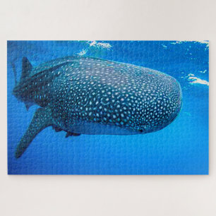 Puzzle du Requin Baleine