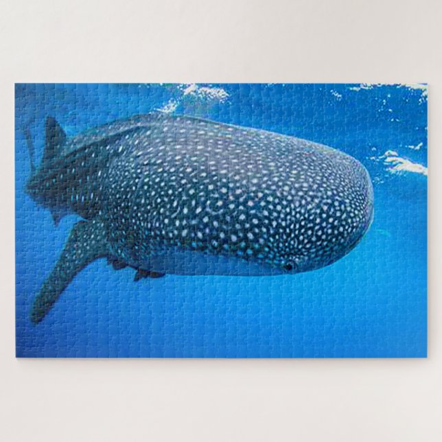 Puzzle du Requin Baleine (Horizontal)