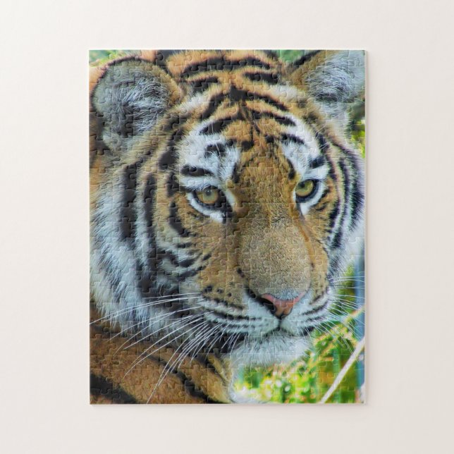 Puzzle du tigre de Sibérie, tigre de l'Amour (Vertical)