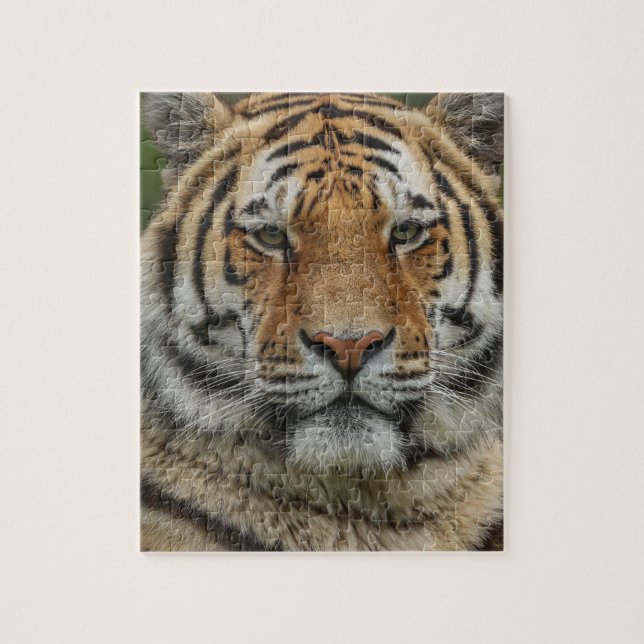 PUZZLE DU TIGRE DU BENGALE (Vertical)