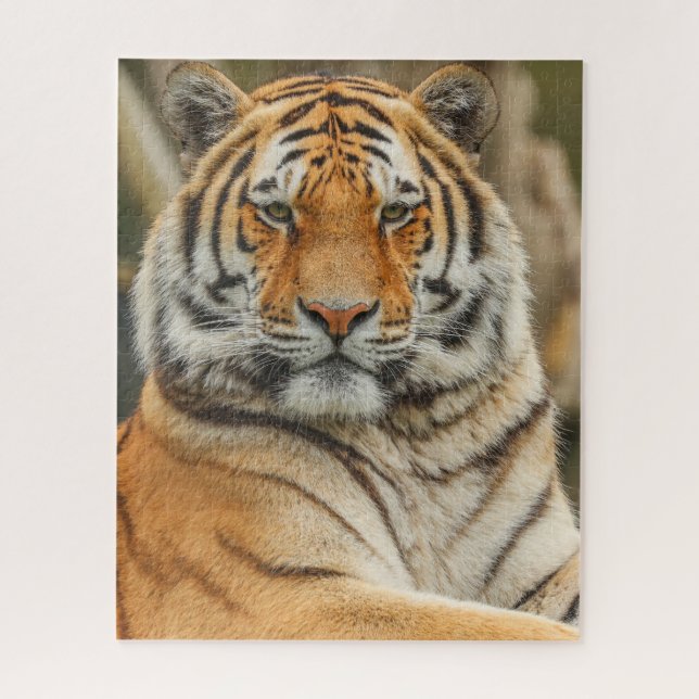 PUZZLE DU TIGRE DU BENGALE (Vertical)