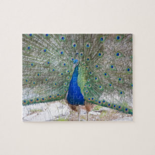 Puzzle Dubrovnik, Croatie, Île de Lokrum, coloré