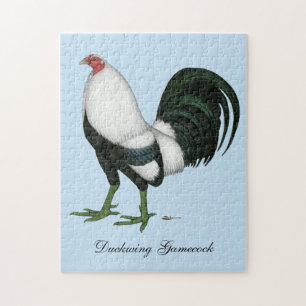 Puzzle Duckwing Gamecock