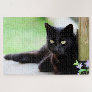 Puzzle d'un animal amusant de chatte noir