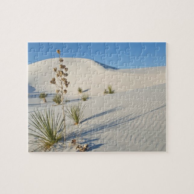 Puzzle Dunes transversales, Yucca, ombres (Horizontal)