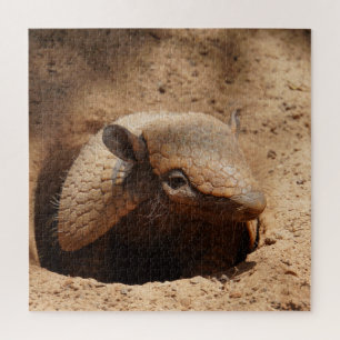 Puzzle Dwarf Armadillo Dit Bonjour