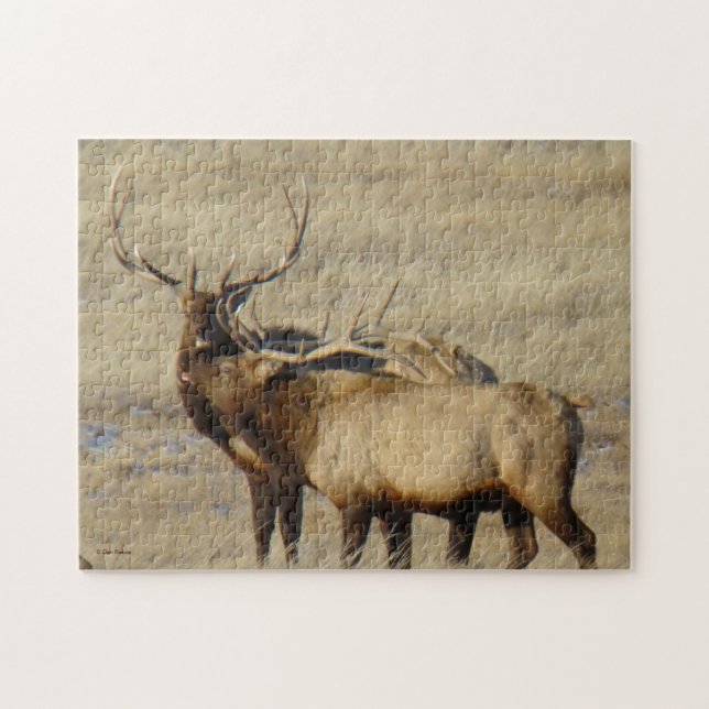 Puzzle E24 Bull Elk (Horizontal)
