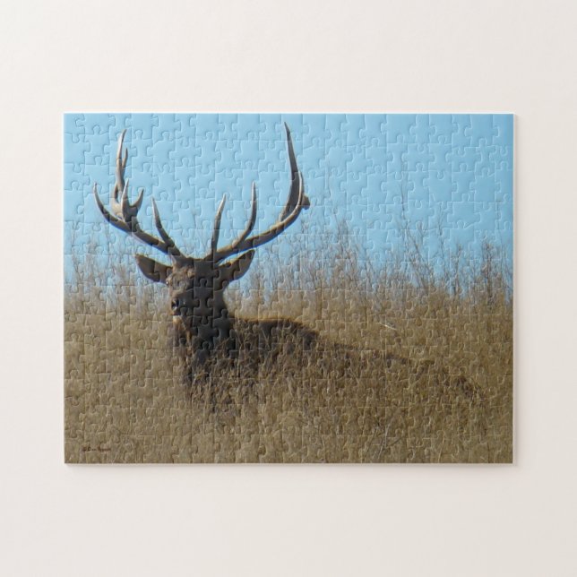 Puzzle E26 Bull Elk dans les mauvaises herbes (Horizontal)