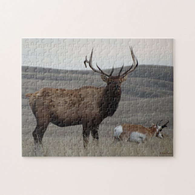 Puzzle E63 Bull Elk et Pronghorn Antelope (Horizontal)