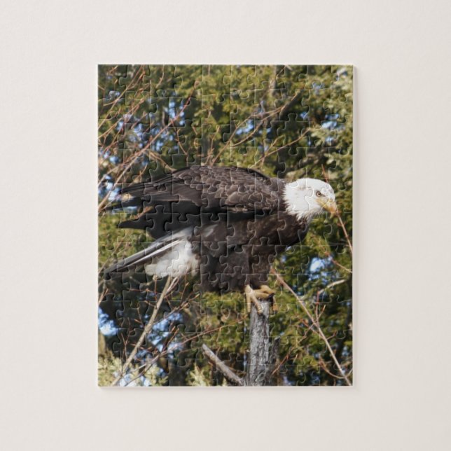 Puzzle Eagle 7 (Vertical)