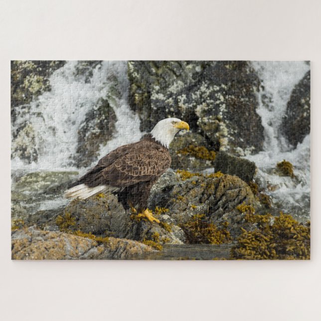 Puzzle Eagle chauve fier (Horizontal)