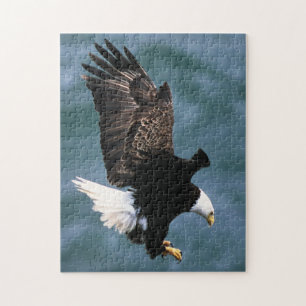 Puzzle Eagle chauve - oiseau national des Etats-Unis