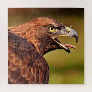 Puzzle Eagle Jigsaw