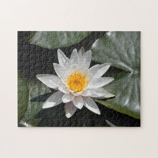 Puzzle Eau Lily Lotus Belle photo (Horizontal)