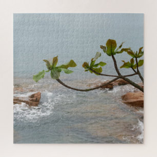 Puzzle eau, romance, paysage, plantes, cascade, asie