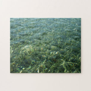 Puzzle Eau sur l'herbe marine I Nature caraïbe