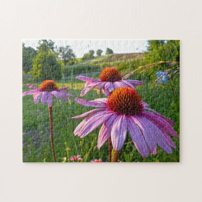 Puzzle Echinacea Fleurs Montana. (Horizontal)