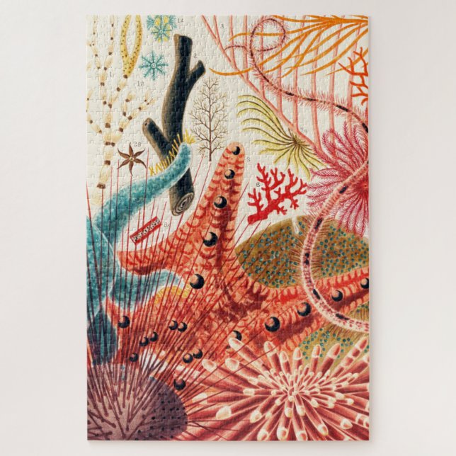 Puzzle Échinodermes de la Grande Barrière de corail Créat (Vertical)