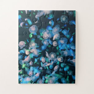 Puzzle École de méduses, Glow in the Dark