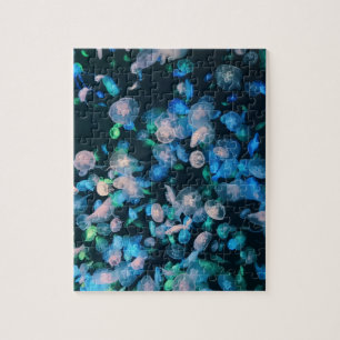 Puzzle École de méduses, Glow in the Dark