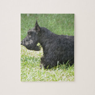 Puzzle Écossais mignon Terrier