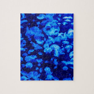 Puzzle Écran de méduse