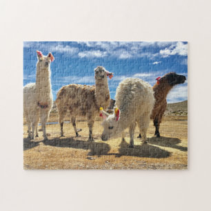 Puzzle Écran Llama
